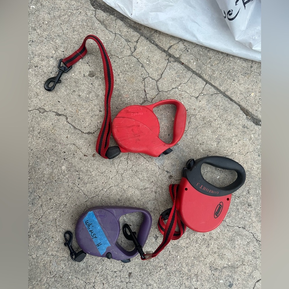 Flexi dog leash retractable